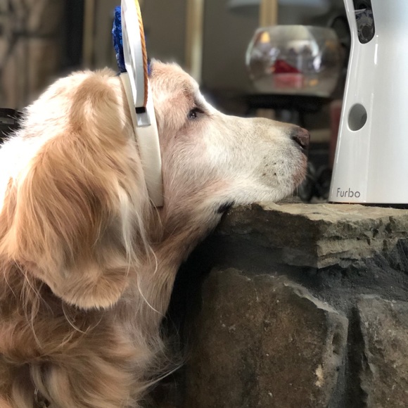 Meet your Posher, Debbie - Picture 8 of 8